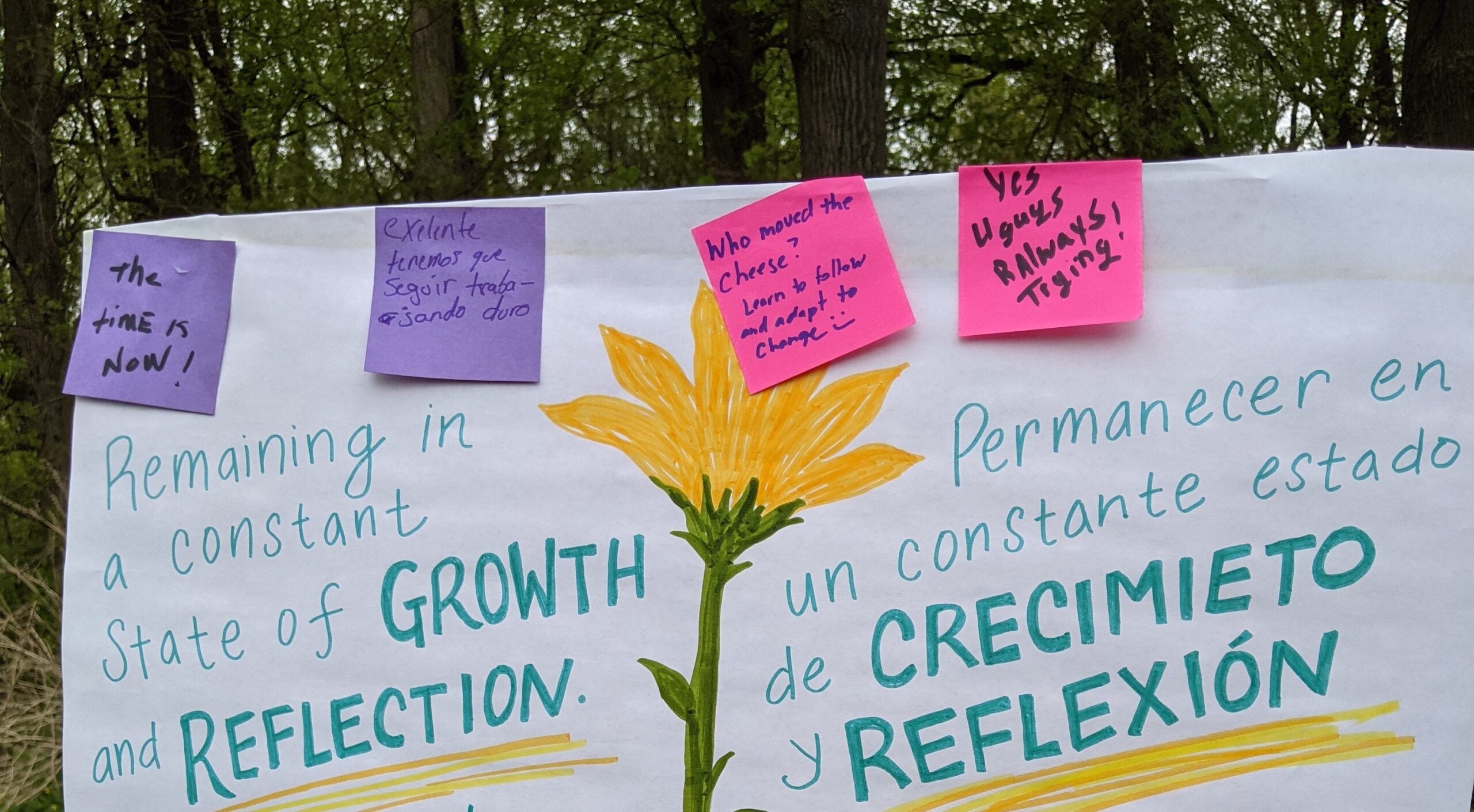Poster with a drawing of a yellow flower and the words 